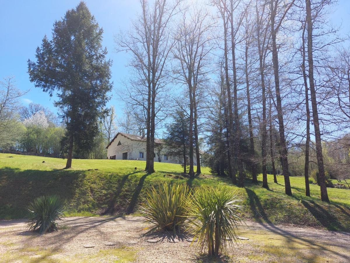 "Le Petit Bonheur" Gite Van 4 Tot 12 Personen Met Prive Vijver Van 2Ha Maisonnais-Sur-Tardoire Bagian luar foto